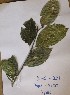  ( - DZ221)  @11 [ ] Unspecified (default): All Rights Reserved  Unspecified Unspecified