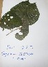  ( - DZ223)  @11 [ ] Unspecified (default): All Rights Reserved  Unspecified Unspecified