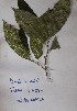  ( - DZ244)  @11 [ ] Unspecified (default): All Rights Reserved  Unspecified Unspecified