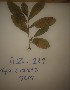  ( - DZ269)  @11 [ ] Unspecified (default): All Rights Reserved  Unspecified Unspecified