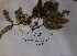  ( - DZ052)  @11 [ ] Unspecified (default): All Rights Reserved  Unspecified Unspecified