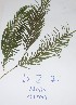  ( - DZ071)  @11 [ ] Unspecified (default): All Rights Reserved  Unspecified Unspecified