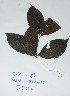  ( - DZ080)  @11 [ ] Unspecified (default): All Rights Reserved  Unspecified Unspecified