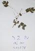  ( - DZ083)  @11 [ ] Unspecified (default): All Rights Reserved  Unspecified Unspecified