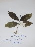  ( - DZ085)  @11 [ ] Unspecified (default): All Rights Reserved  Unspecified Unspecified