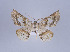  ( - ID 12999)  @13 [ ] Copyright (2010) Unspecified Institut fuer Spezielle Zoologie und Evolutionsbiologie, Friedrich-Schiller Universitat Jena