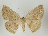  ( - ID 16913)  @14 [ ] Copyright (2010) Unspecified Institut fuer Spezielle Zoologie und Evolutionsbiologie, Friedrich-Schiller Universitat Jena