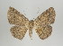  ( - ID 16937)  @13 [ ] Copyright (2010) Unspecified Institut fuer Spezielle Zoologie und Evolutionsbiologie, Friedrich-Schiller Universitat Jena