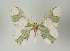  ( - ID 16961)  @13 [ ] Copyright (2010) Unspecified Institut fuer Spezielle Zoologie und Evolutionsbiologie, Friedrich-Schiller Universitat Jena