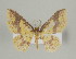  ( - ID 16971)  @14 [ ] Copyright (2010) Unspecified Institut fuer Spezielle Zoologie und Evolutionsbiologie, Friedrich-Schiller Universitat Jena