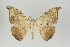  ( - ID 17012)  @14 [ ] Copyright (2010) Unspecified Institut fuer Spezielle Zoologie und Evolutionsbiologie, Friedrich-Schiller Universitat Jena