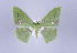  ( - ID 17087)  @14 [ ] Copyright (2010) Unspecified Institut fuer Spezielle Zoologie und Evolutionsbiologie, Friedrich-Schiller Universitat Jena