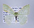  ( - ID 17195)  @12 [ ] Copyright (2010) Unspecified Institut fuer Spezielle Zoologie und Evolutionsbiologie, Friedrich-Schiller Universitat Jena