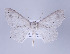  ( - ID 17214)  @14 [ ] Copyright (2010) Unspecified Institut fuer Spezielle Zoologie und Evolutionsbiologie, Friedrich-Schiller Universitat Jena
