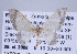 ( - ID 17245)  @13 [ ] Copyright (2010) Unspecified Institut fuer Spezielle Zoologie und Evolutionsbiologie, Friedrich-Schiller Universitat Jena