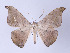  ( - ID 17248)  @14 [ ] Copyright (2010) Unspecified Institut fuer Spezielle Zoologie und Evolutionsbiologie, Friedrich-Schiller Universitat Jena