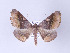  ( - ID 17249)  @14 [ ] Copyright (2010) Unspecified Institut fuer Spezielle Zoologie und Evolutionsbiologie, Friedrich-Schiller Universitat Jena
