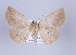 ( - ID 17250)  @14 [ ] Copyright (2010) Unspecified Institut fuer Spezielle Zoologie und Evolutionsbiologie, Friedrich-Schiller Universitat Jena