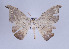  ( - ID 17273)  @13 [ ] Copyright (2010) Unspecified Institut fuer Spezielle Zoologie und Evolutionsbiologie, Friedrich-Schiller Universitat Jena