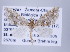  ( - ID 17312)  @13 [ ] Copyright (2010) Unspecified Institut fuer Spezielle Zoologie und Evolutionsbiologie, Friedrich-Schiller Universitat Jena