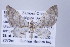  ( - ID 17373)  @13 [ ] Copyright (2010) Unspecified Institut fuer Spezielle Zoologie und Evolutionsbiologie, Friedrich-Schiller Universitat Jena