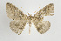  ( - ID 17440)  @14 [ ] Copyright (2010) Unspecified Institut fuer Spezielle Zoologie und Evolutionsbiologie, Friedrich-Schiller Universitat Jena