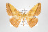  ( - ID 17505)  @14 [ ] Copyright (2010) Unspecified Institut fuer Spezielle Zoologie und Evolutionsbiologie, Friedrich-Schiller Universitat Jena