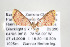  ( - ID 17542)  @12 [ ] Copyright (2010) Unspecified Institut fuer Spezielle Zoologie und Evolutionsbiologie, Friedrich-Schiller Universitat Jena