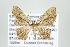  ( - ID 17543)  @14 [ ] Copyright (2010) Unspecified Institut fuer Spezielle Zoologie und Evolutionsbiologie, Friedrich-Schiller Universitat Jena