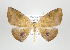  ( - ID 17560)  @13 [ ] Copyright (2010) Unspecified Institut fuer Spezielle Zoologie und Evolutionsbiologie, Friedrich-Schiller Universitat Jena