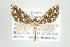  ( - ID 17584)  @13 [ ] Copyright (2010) Unspecified Institut fuer Spezielle Zoologie und Evolutionsbiologie, Friedrich-Schiller Universitat Jena