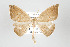  ( - ID 17614)  @14 [ ] Copyright (2010) Unspecified Institut fuer Spezielle Zoologie und Evolutionsbiologie, Friedrich-Schiller Universitat Jena