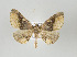 ( - ID 17682)  @14 [ ] Copyright (2010) Unspecified Institut fuer Spezielle Zoologie und Evolutionsbiologie, Friedrich-Schiller Universitat Jena