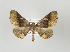 ( - ID 17707)  @13 [ ] Copyright (2010) Unspecified Institut fuer Spezielle Zoologie und Evolutionsbiologie, Friedrich-Schiller Universitat Jena