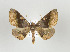 ( - ID 17710)  @14 [ ] Copyright (2010) Unspecified Institut fuer Spezielle Zoologie und Evolutionsbiologie, Friedrich-Schiller Universitat Jena