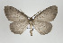  ( - ID 17734)  @14 [ ] Copyright (2010) Unspecified Institut fuer Spezielle Zoologie und Evolutionsbiologie, Friedrich-Schiller Universitat Jena