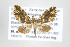  ( - ID 17774)  @13 [ ] Copyright (2010) Unspecified Institut fuer Spezielle Zoologie und Evolutionsbiologie, Friedrich-Schiller Universitat Jena