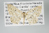  ( - GeoCR 26682)  @11 [ ] Copyright (2010) Unspecified Institut fuer Spezielle Zoologie und Evolutionsbiologie, Friedrich-Schiller Universitat Jena