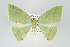  ( - GeoCR 27598)  @11 [ ] Copyright (2010) Unspecified Institut fuer Spezielle Zoologie und Evolutionsbiologie, Friedrich-Schiller Universitat Jena