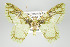  ( - GeoCR 27730)  @11 [ ] Copyright (2010) Unspecified Institut fuer Spezielle Zoologie und Evolutionsbiologie, Friedrich-Schiller Universitat Jena