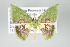  ( - GeoCR 27745)  @11 [ ] Copyright (2010) Unspecified Institut fuer Spezielle Zoologie und Evolutionsbiologie, Friedrich-Schiller Universitat Jena