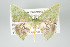  ( - GeoCR 27746)  @11 [ ] Copyright (2010) Unspecified Institut fuer Spezielle Zoologie und Evolutionsbiologie, Friedrich-Schiller Universitat Jena