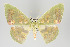  ( - GeoCR 28013)  @11 [ ] Copyright (2010) Unspecified Institut fuer Spezielle Zoologie und Evolutionsbiologie, Friedrich-Schiller Universitat Jena