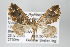  ( - GeoCR 28497)  @12 [ ] Copyright (2010) Unspecified Institut fuer Spezielle Zoologie und Evolutionsbiologie, Friedrich-Schiller Universitat Jena