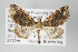  ( - GeoCR 28524)  @12 [ ] Copyright (2010) Unspecified Institut fuer Spezielle Zoologie und Evolutionsbiologie, Friedrich-Schiller Universitat Jena
