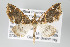  ( - GeoCR 28545)  @12 [ ] Copyright (2010) Unspecified Institut fuer Spezielle Zoologie und Evolutionsbiologie, Friedrich-Schiller Universitat Jena