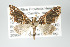  ( - GeoCR 28564)  @11 [ ] Copyright (2010) Unspecified Institut fuer Spezielle Zoologie und Evolutionsbiologie, Friedrich-Schiller Universitat Jena