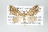  ( - GeoCR 28594)  @13 [ ] Copyright (2010) Unspecified Institut fuer Spezielle Zoologie und Evolutionsbiologie, Friedrich-Schiller Universitat Jena