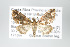  (Psaliodes Sullivan0998 - GeoCR 33571)  @13 [ ] Copyright (2010) Unspecified Institut fuer Spezielle Zoologie und Evolutionsbiologie, Friedrich-Schiller Universitat Jena