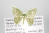  ( - GeoCR 34104)  @13 [ ] Copyright (2010) Unspecified Institut fuer Spezielle Zoologie und Evolutionsbiologie, Friedrich-Schiller Universitat Jena
